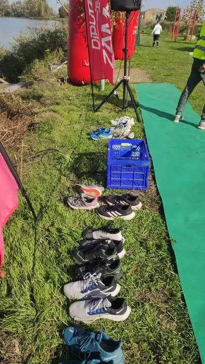 Imagen de WhatsApp 2024-11-02 a las 13.08.26_eeb54f06