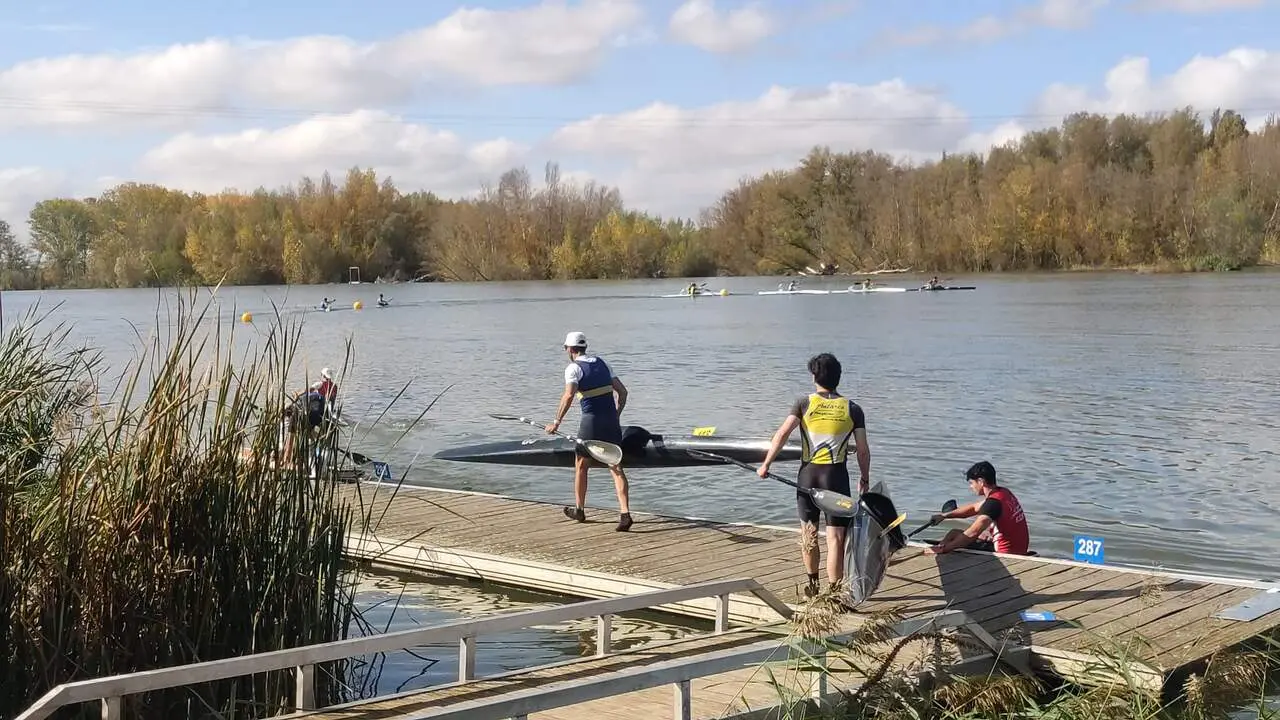 Imagen de WhatsApp 2024-11-02 a las 13.06.48_7115a9f2