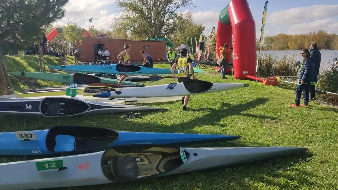 Imagen de WhatsApp 2024-11-02 a las 13.05.48_175d102a