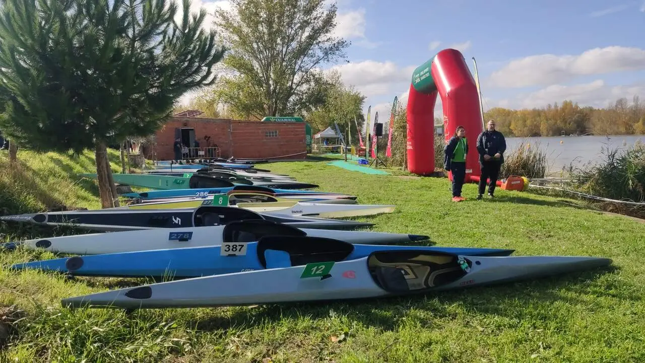 Imagen de WhatsApp 2024-11-02 a las 13.03.30_63a4c77b