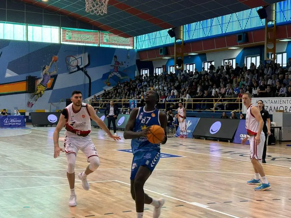 Imagen de WhatsApp 2024-11-03 a las 12.22.43_55bb0073