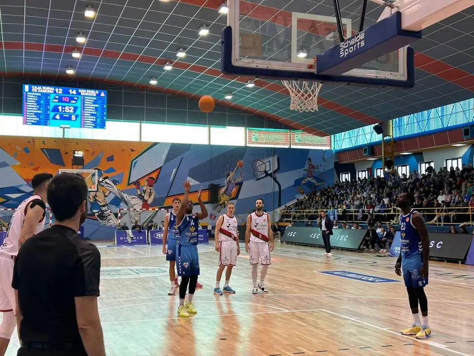 Imagen de WhatsApp 2024-11-03 a las 12.22.42_a0bc4cdb