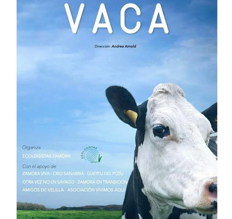 Cartel Vaca