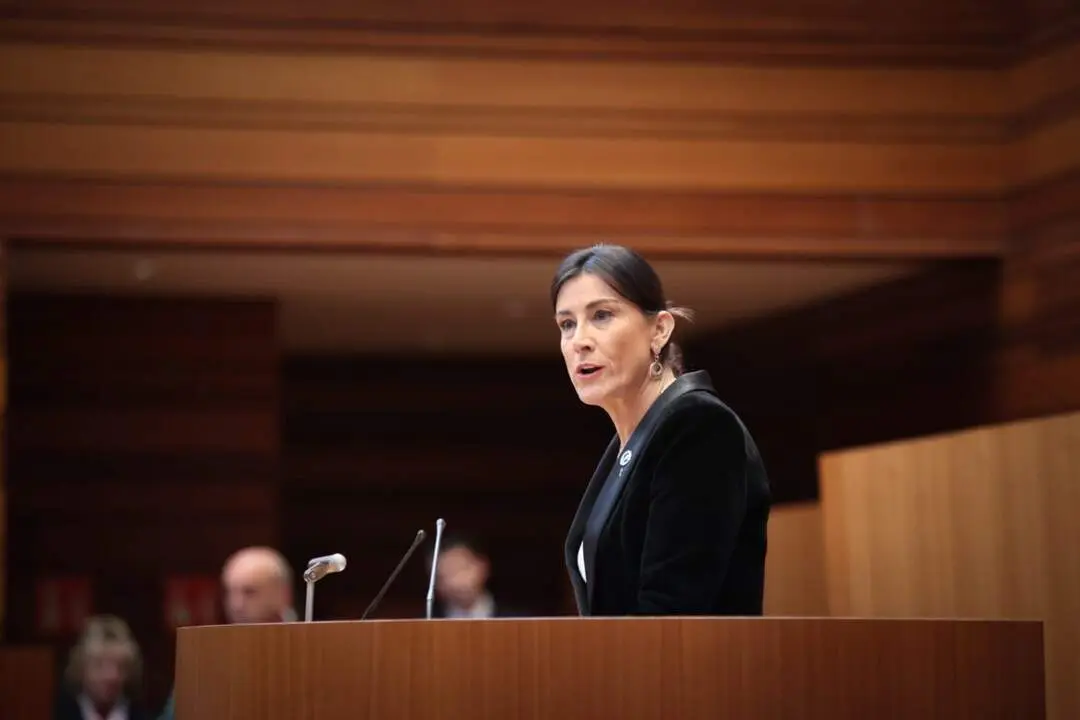 ana sanchez PSOECYL