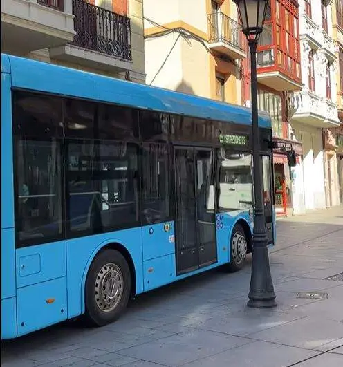 Nuevo Autobús Zamora