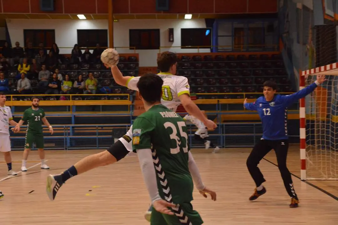 zamora balonmano