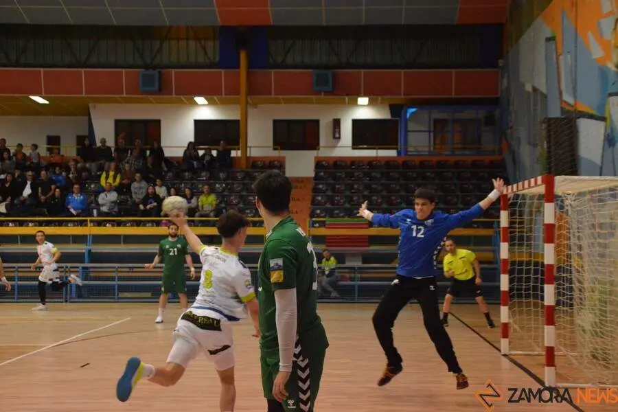 Balonmano Zamora _11