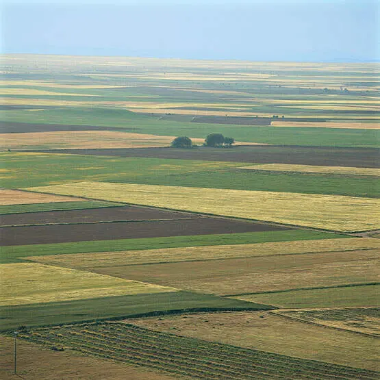 Tierra de Campos