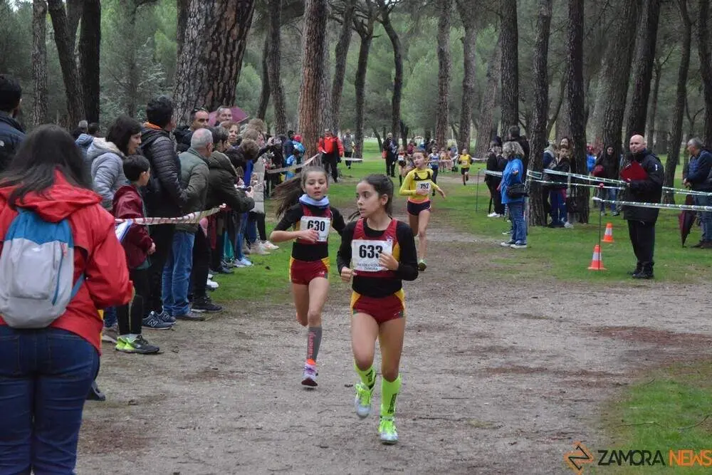 cross zamora Valorio 2024_26