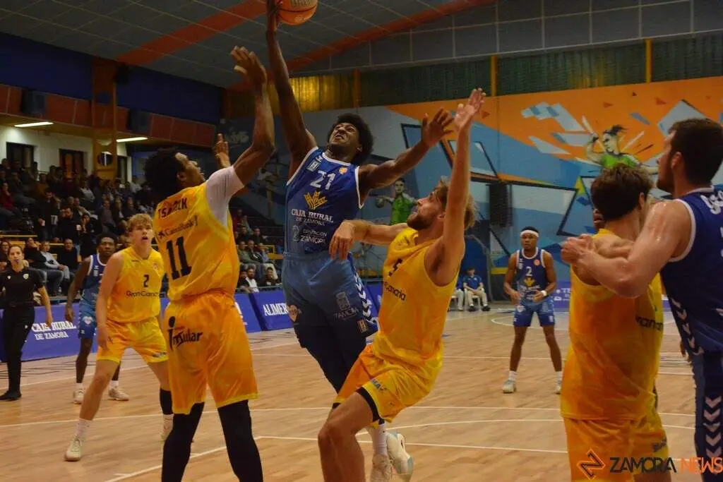 cb zamora Baloncesto Gran Canaria_13
