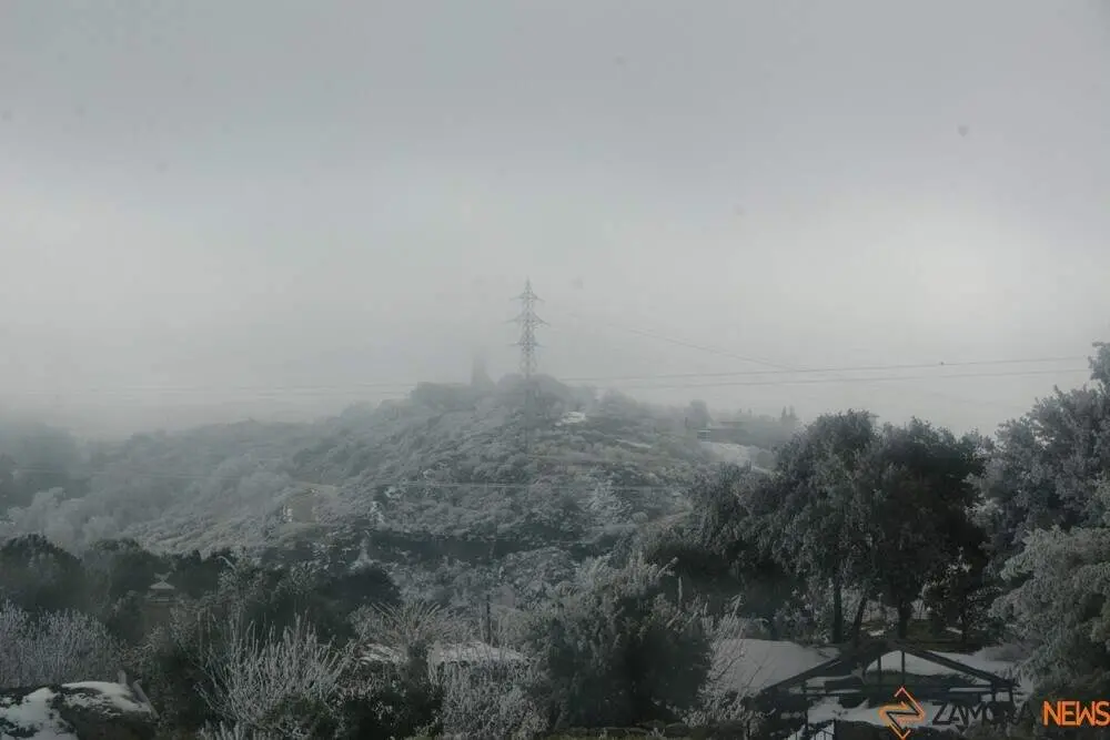 frio heladas (3)