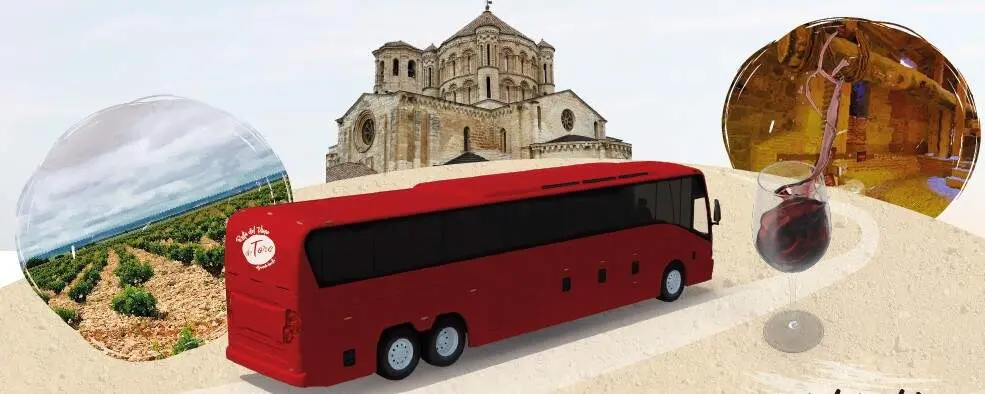 Bus del Vino Noviembre