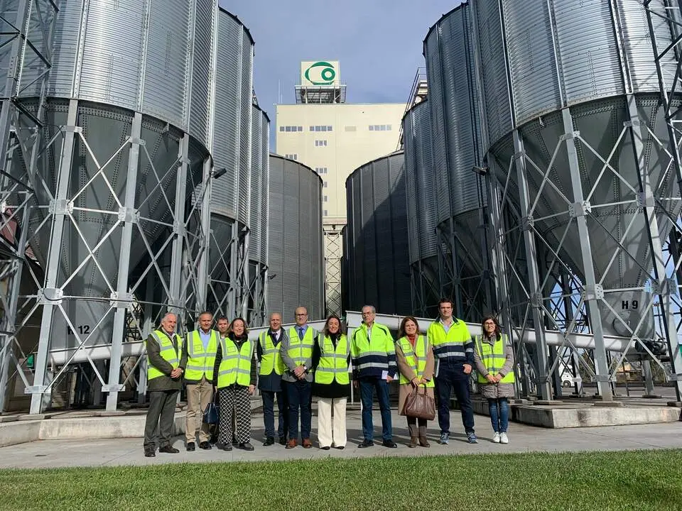 Visita Consejera