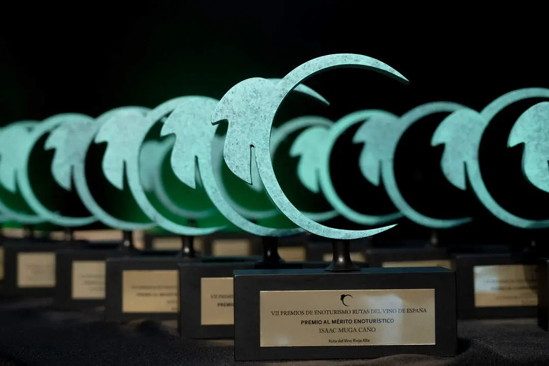 VII_PREMIOS_ACEVIN_galardones. copy Ricardo Domingo