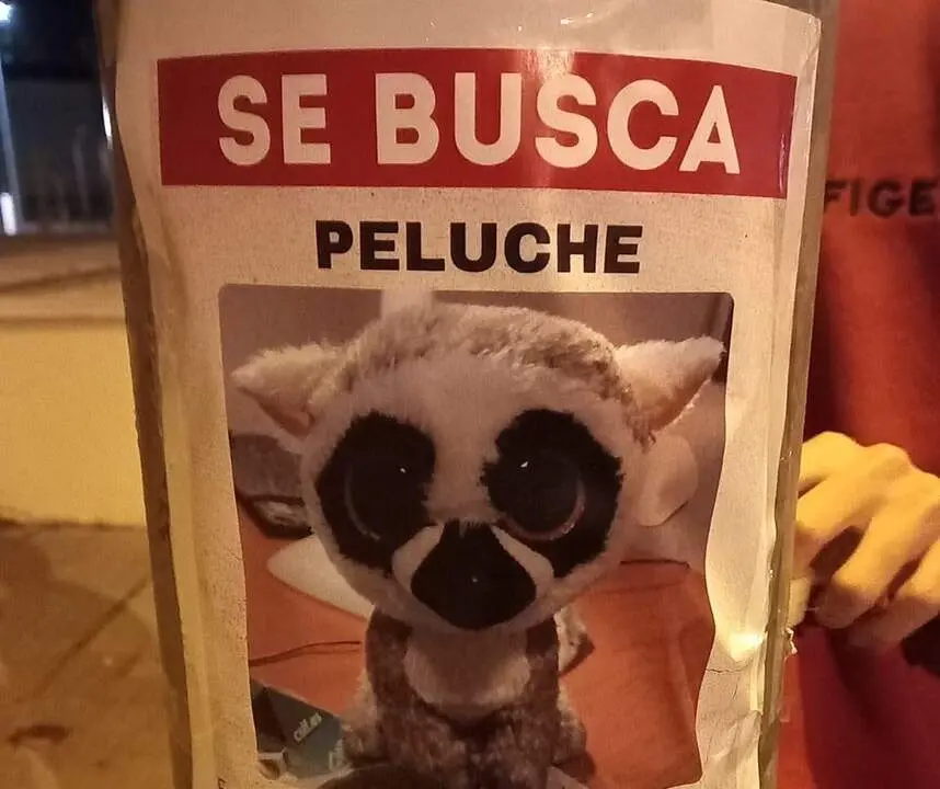 Peluche perdido