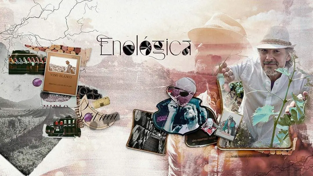 Enocologia, productora zamora