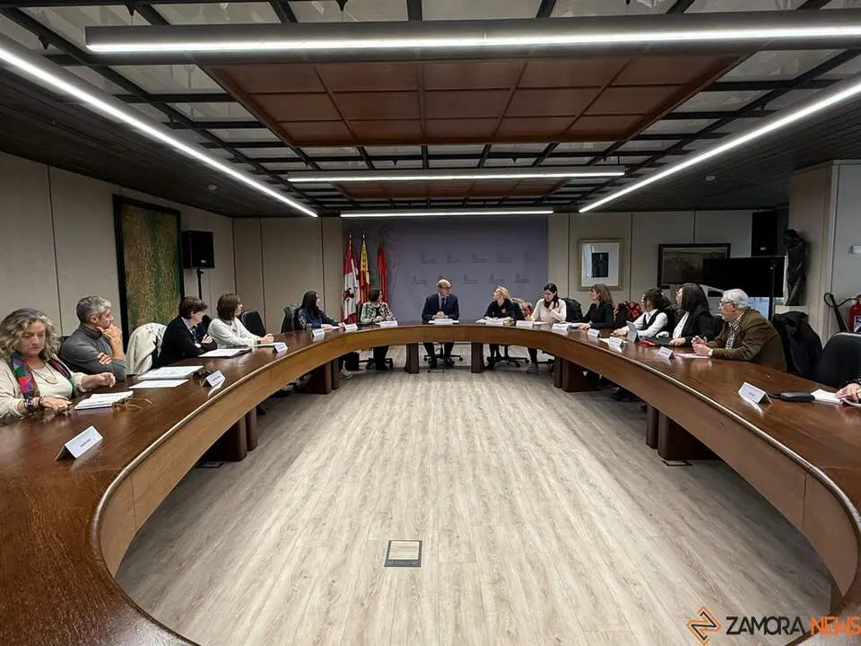 comisión violencia de género