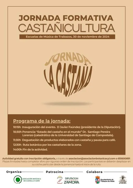 C.JORNADA CASTAÑAS