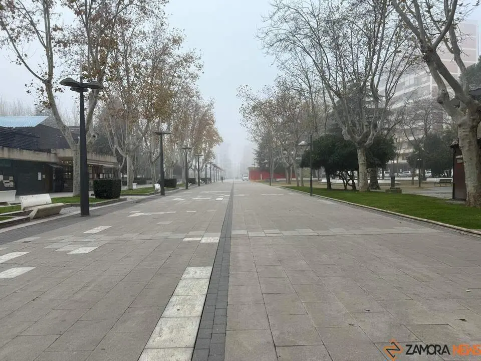 Niebla en Zamora_5