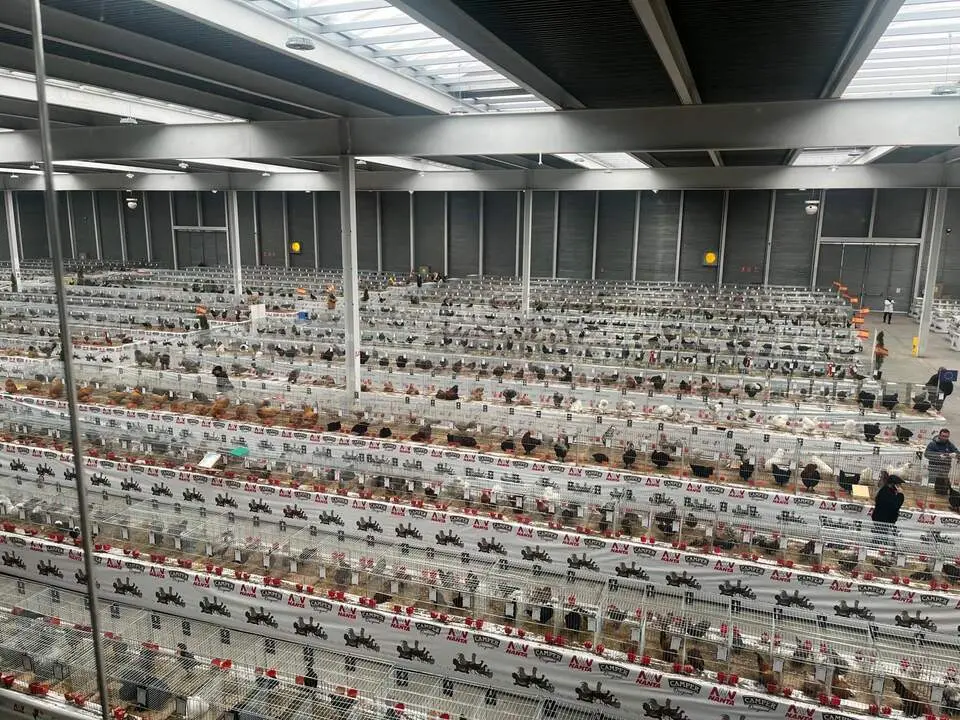 Concurso Nacional de Avicultura, Colombicultura y Cunicultura