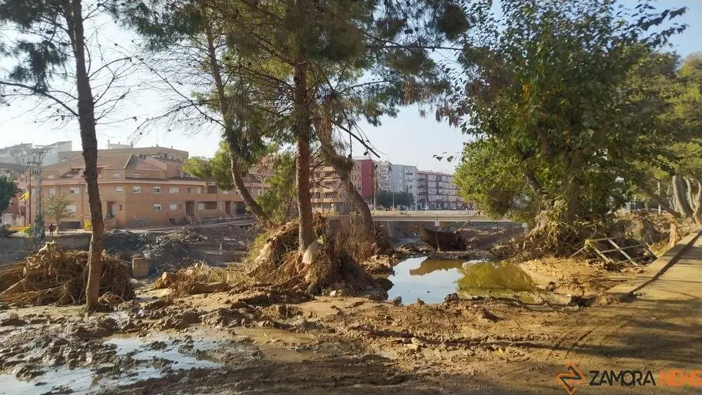 Valencia paiporta Ribarroja Algemesí_105 - copia