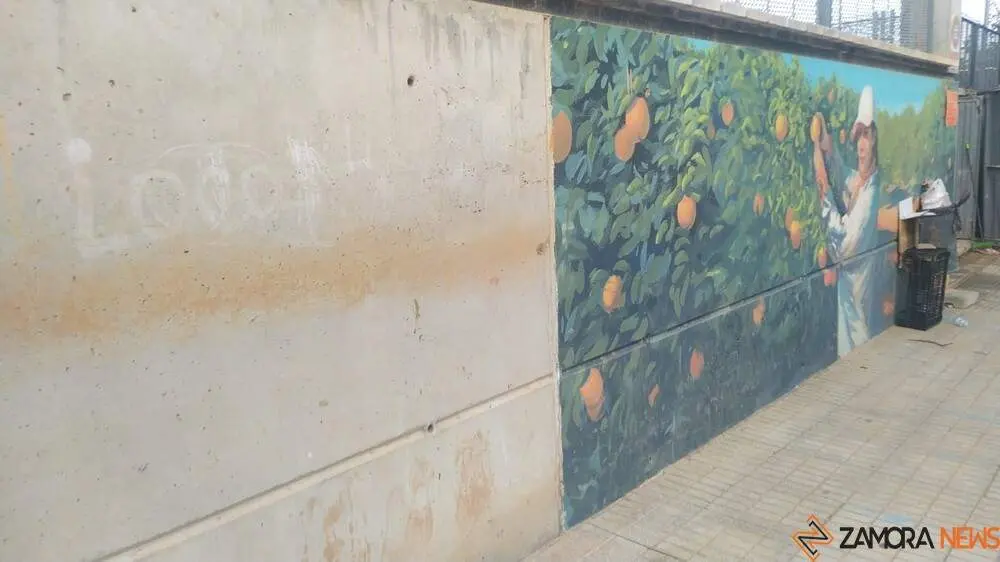 Valencia paiporta Ribarroja Algemesí_97 - copia