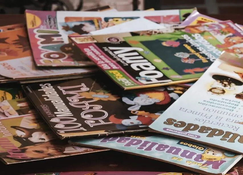 Fanzine Zamora