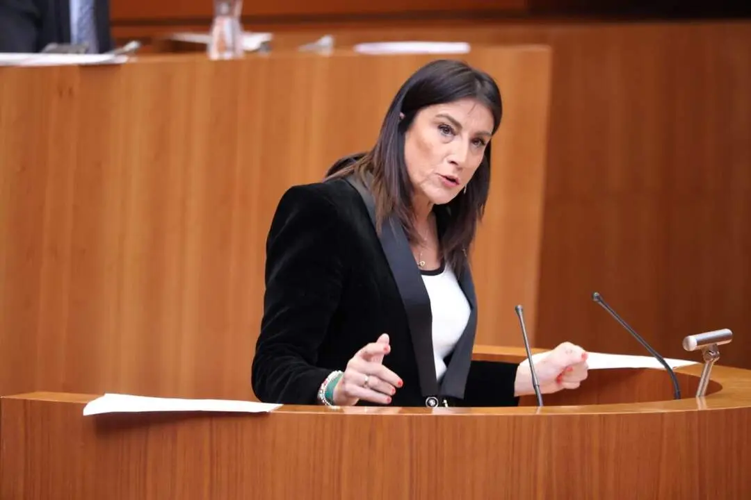 Ana Sánchez en las Cortes de CyL