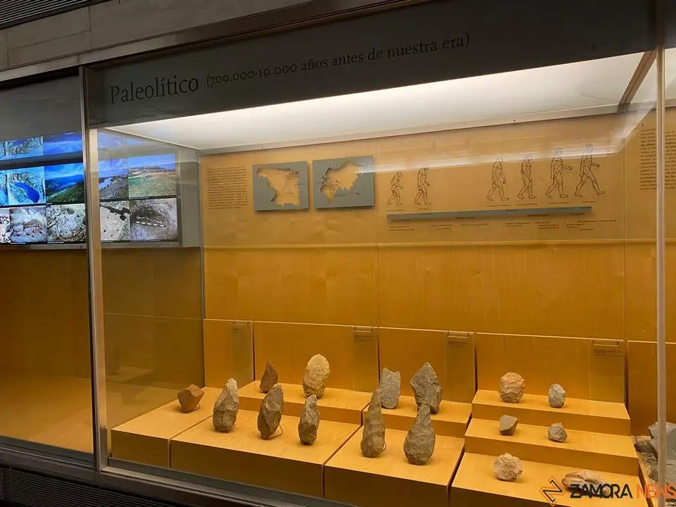 Museo de Zamora 2024