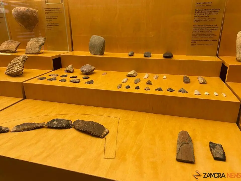 Museo de Zamora 2024_2