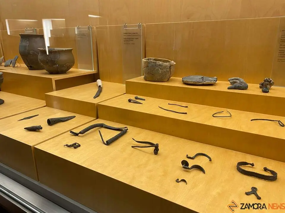 Museo de Zamora 2024_3