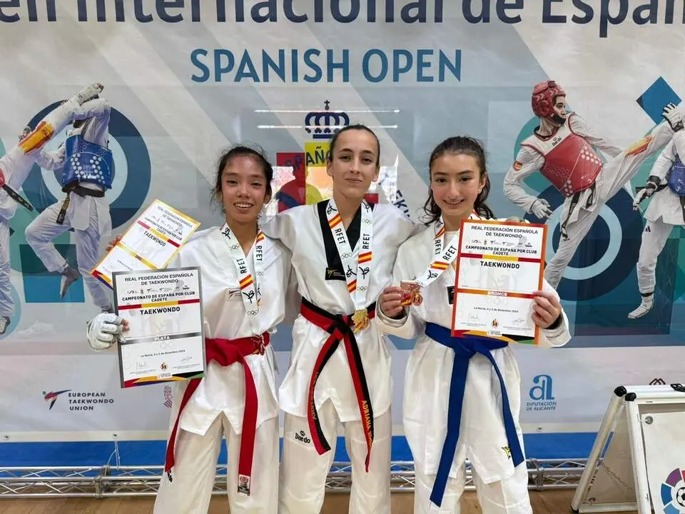 Taekwondo