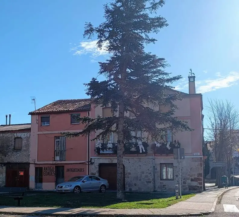 Imagen del día
