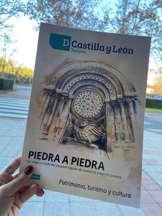 D Castilla y León