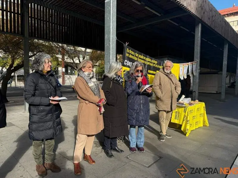 Amnistía Zamora