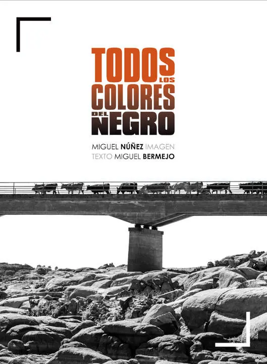 todos los colores del negro