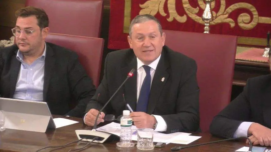 Pleno Dipu Zamora 2