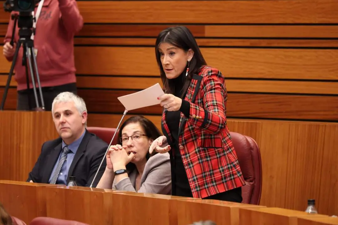 ANA SÁNCHEZ - PLENO CORTES (2)