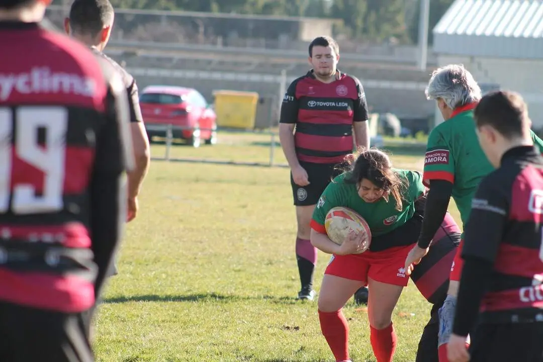 rugby