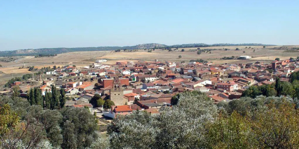 Venialbo