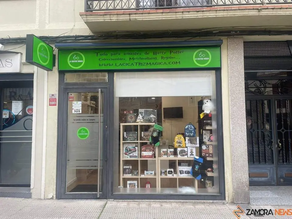 Tienda Harry Potter Zamora