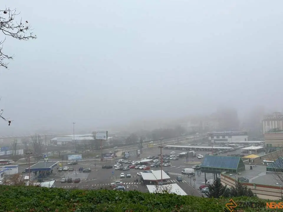 Niebla Zamora