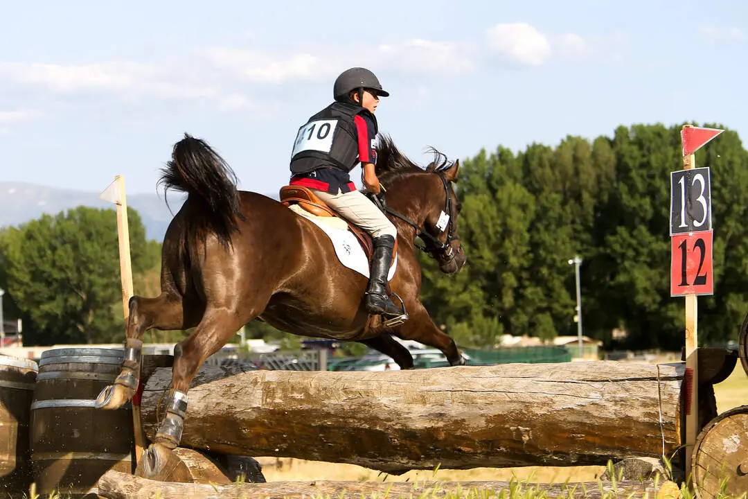 Campeonato de España de Ponis Completo (1)