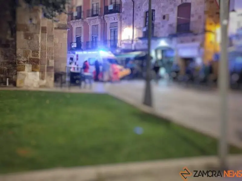 pelea en el centro de Zamora 