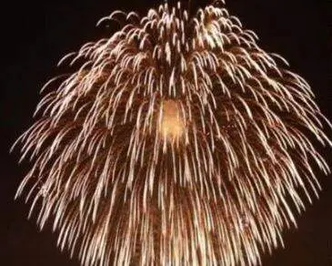Fuego Artificial Japon