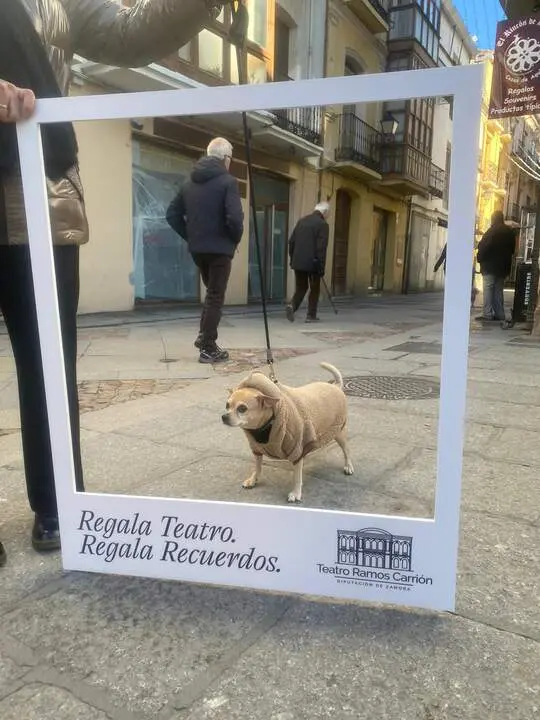 Ramos-Carrión