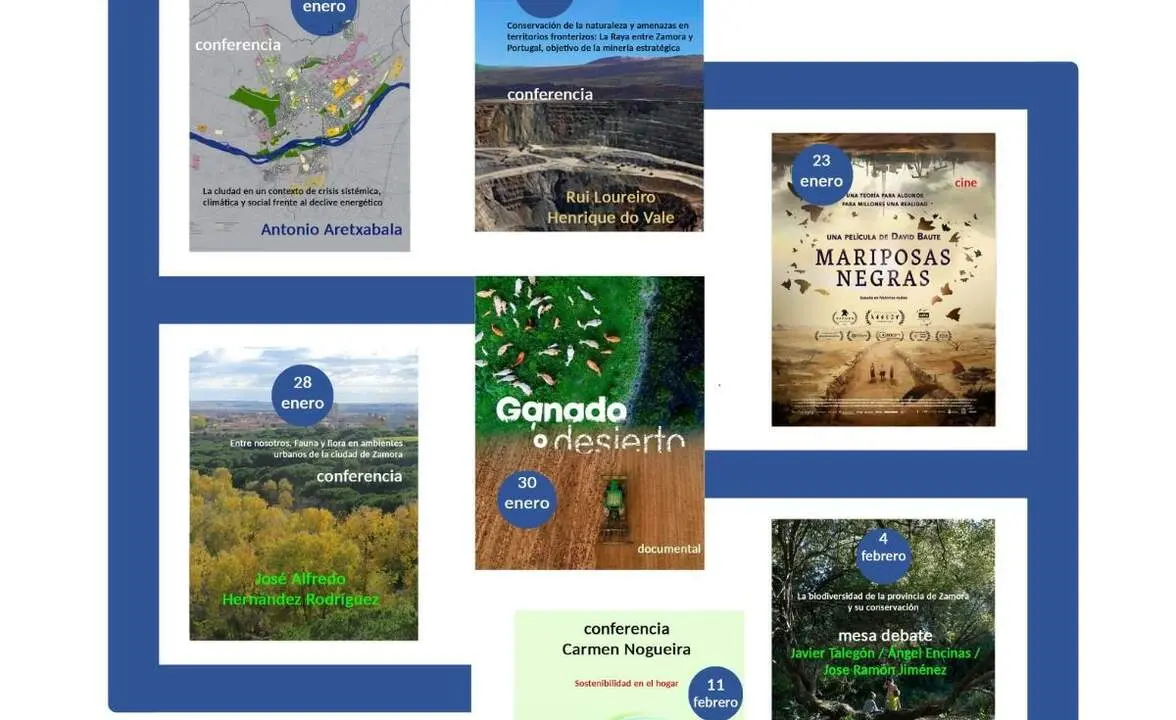 Segunda fase Ciclo Zamora Ecologistas