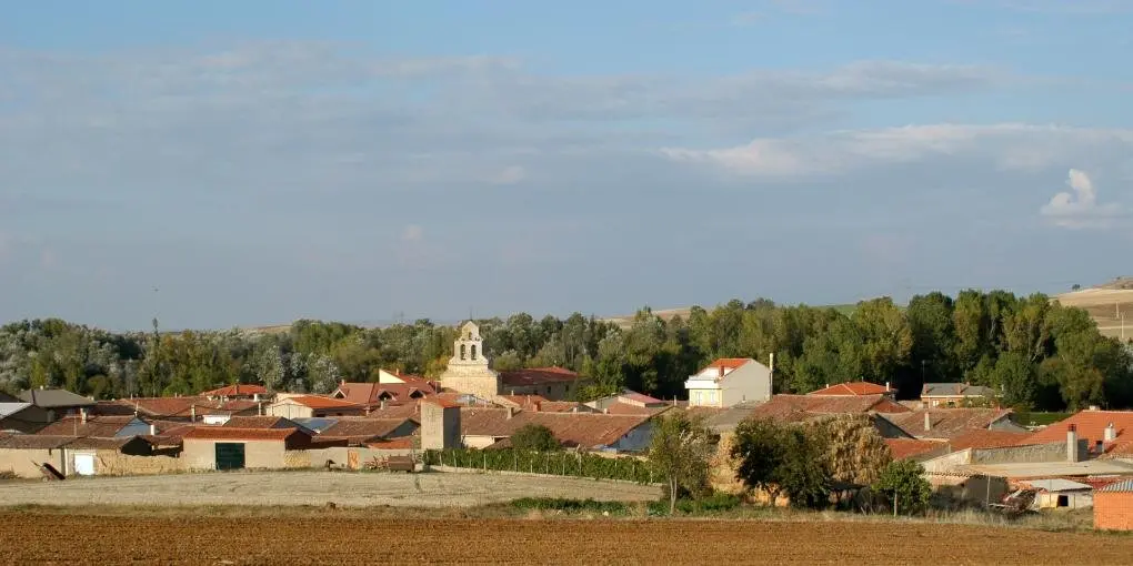 Jambrina