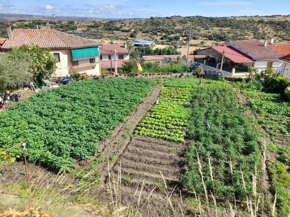 Foto Ayto Fermoselle