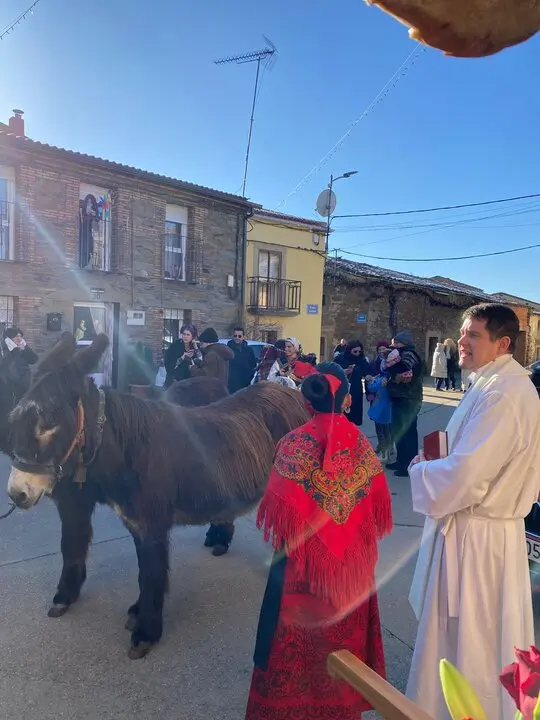fiestas de San Antonio en Domez. IMAGEN CEDIDA  (2)